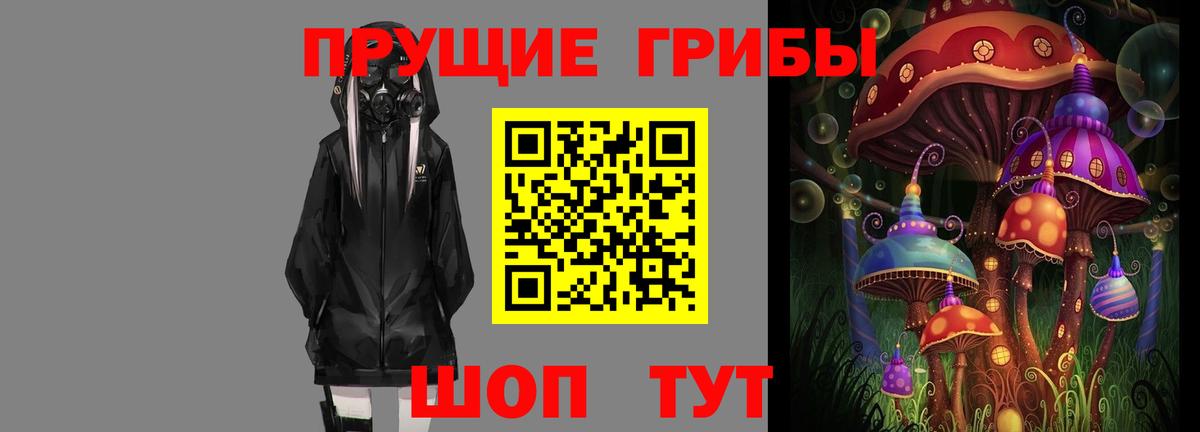 Галлюциногенные грибы GOLDEN TEACHER  Вход с VPN  Королёв  Псилоцибиновые грибы Cubensis 